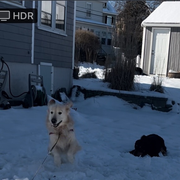 Meet your Posher, Lindsey - Picture 2 of 7